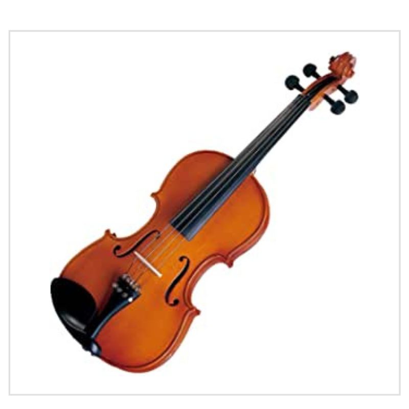 Violino tradicional VNM40 4/4 - Michael